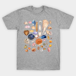 Watercolor Seashell Collection T-Shirt